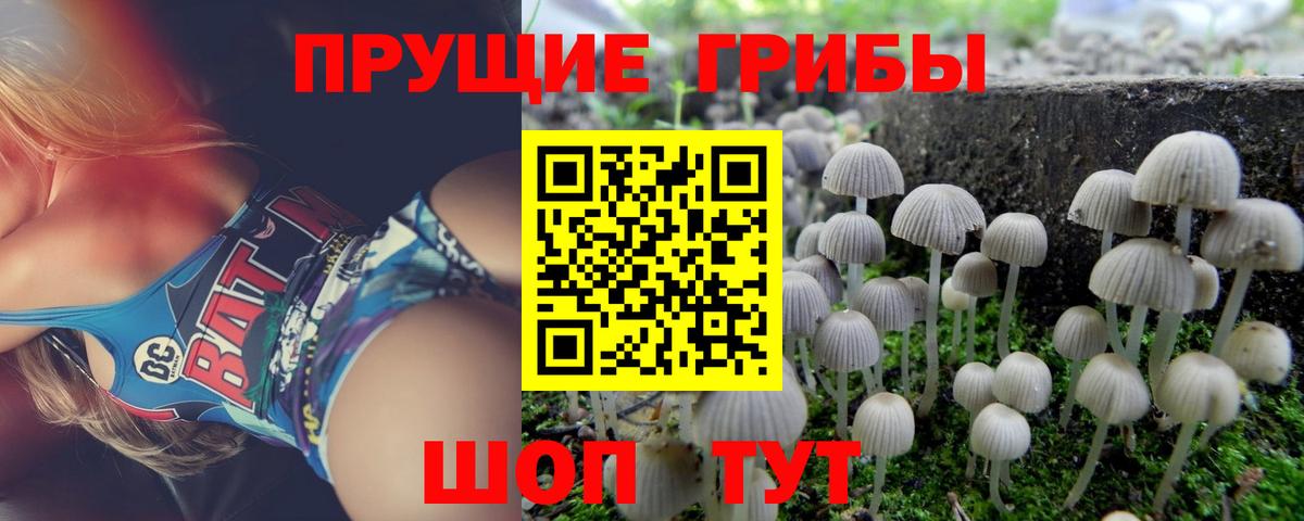 Галлюциногенные грибы ЛСД Муром