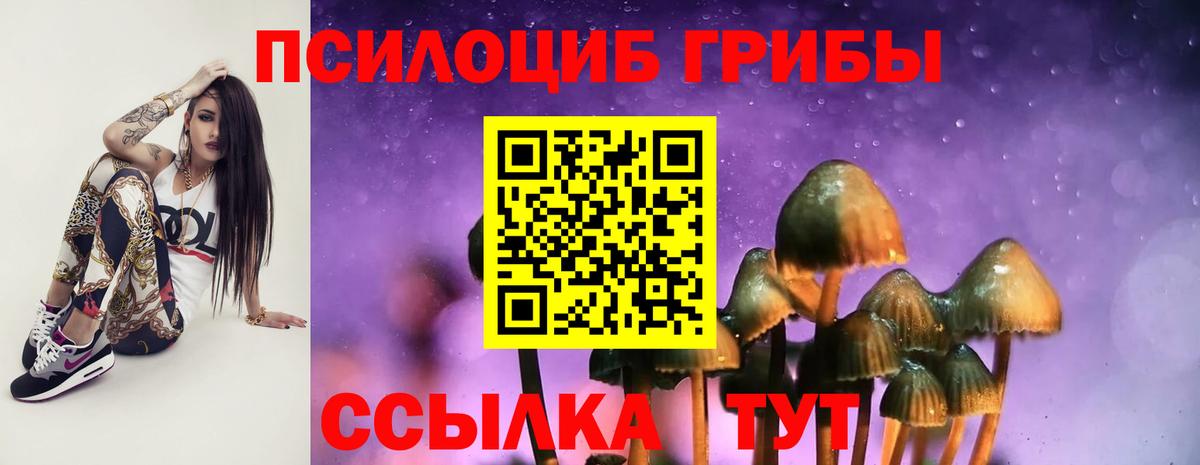 Псилоцибиновые грибы прущие грибы  Галлюциногенные грибы ЛСД  Вход с VPN  Муром 